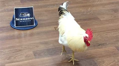 Once you reach a milestone, you will be awarded the corresponding cosmetic at the end of the match. Can a chicken pick the winner of the Super Bowl?