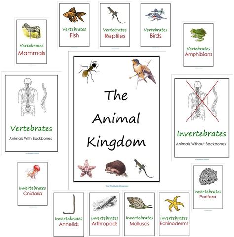 Our Worldwide Classroom Our Animal Kingdom Notebooks With Printable