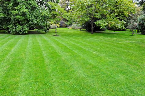 Spring Is Here Get Your Lawn In Shape With These Tips Powerpro
