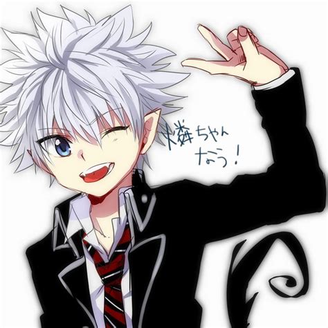 Ao No Hxh Hunter Anime Killua Anime Crossover