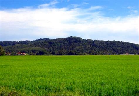 Terletak di pantai barat semenanjung malaysia. Coach from Kedah - ExpressBusMalaysia.com