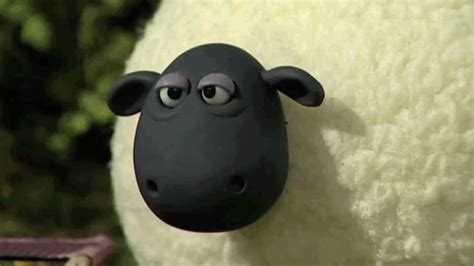 Shaun The Sheep Moments That Totally Explain Your Life Yayomg