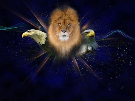 Judah And The Lion Lion And Lioness Lion And Lamb Prophetic