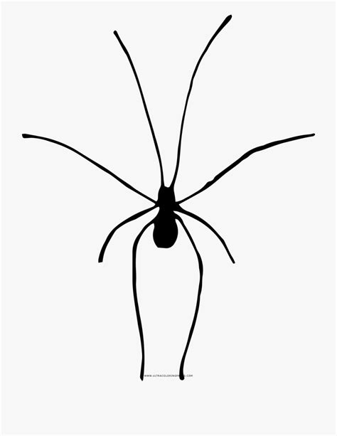 Daddy Long Legs Clipart 10 Free Cliparts Download Images On