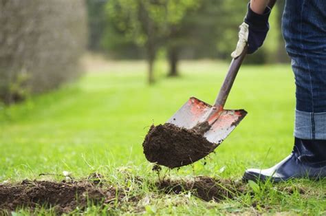 What Is Agricultural Lime Used For Stamford Stone