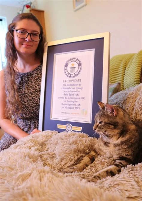 Cat Breaks Guinness World Record For Purr Louder Than A Boiling Kettle I Know All News