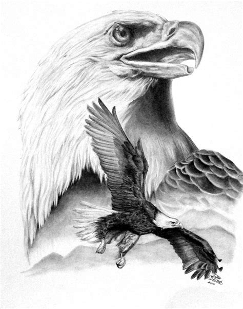 Eagle Sketch Drawing At Explore Collection Of
