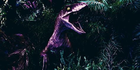 Jurassic World 10 Facts About The Velociraptors Only Hardcore Fans Know