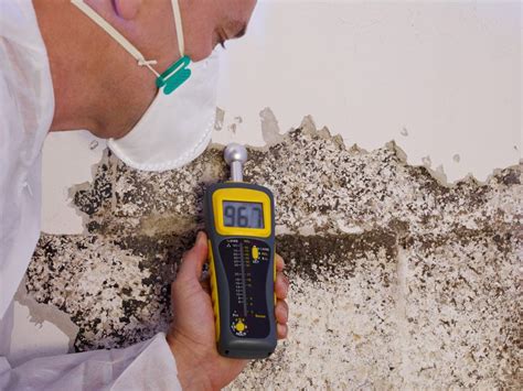 When Do You Need To Test Your Home For Mold Mold Testing