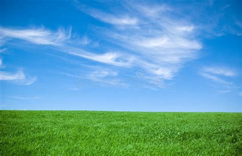 Cloudy Sky And Grass Stock Photo Image Of Season Nature 4894948