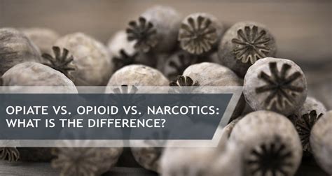 Opioid Vs Opiate What Are Their Differences