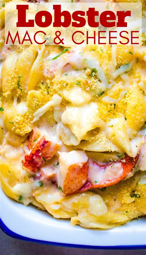Cheesy Lobster Casserole With Shell Pasta Recipe Lobster Mac And