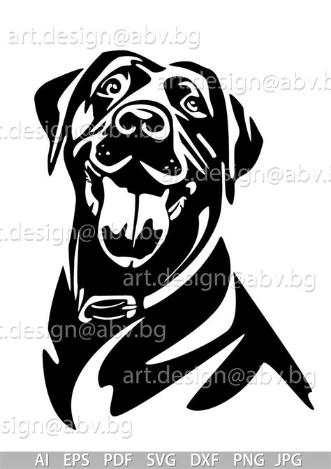 Vector Dog Labrador Ai Eps Pdf Svg Dxf Png  Etsy Animal Stencil