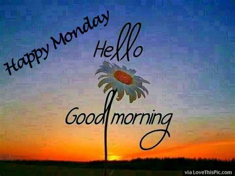 Happy Monday Hello Good Morning Pictures Photos And Images For