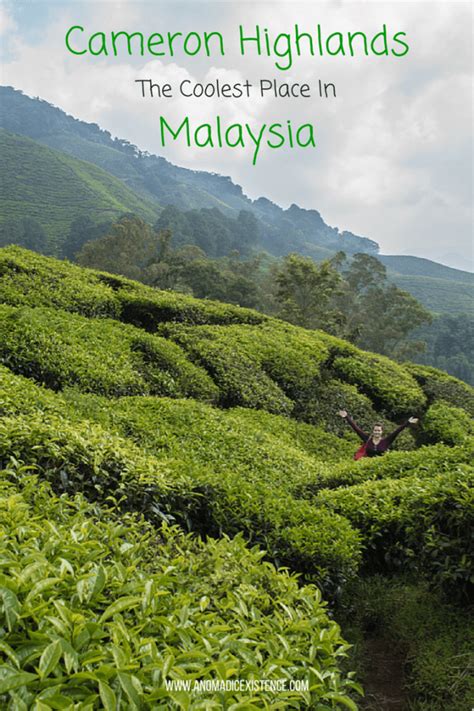 While you're here, make time to enjoy other sights such. Cameron Highlands - The 'Coolest' Place in Malaysia - A ...