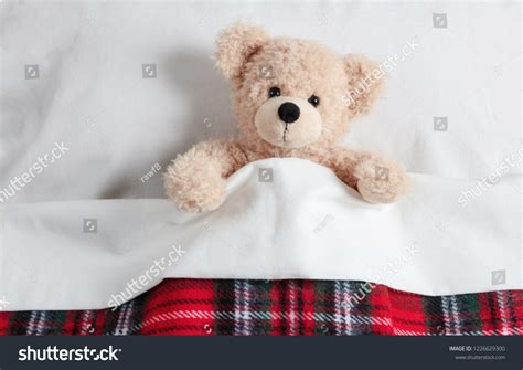 36729 Teddy Bear In A Bed Images Stock Photos And Vectors Shutterstock