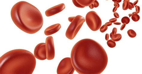 Conditions That Cause Low Blood Platelets Livestrongcom