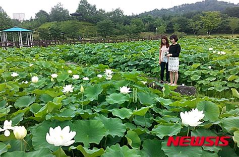 오늘날씨 현충일 30도 안팎 더위, 오후 남부지방 요란한 소나기, 6월 6일 5시 기준. 오늘 날씨 예보, 전국 구름 많고 일부 지역 소나기