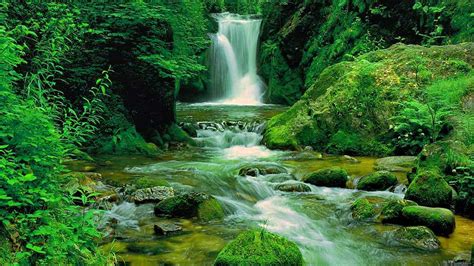 Green Waterfall Hd Wallpaper Background Image 1920x1080 Id568807