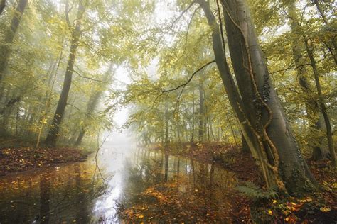 Wallpaper 2048x1366 Px Daylight Fall Forest Germany Landscape