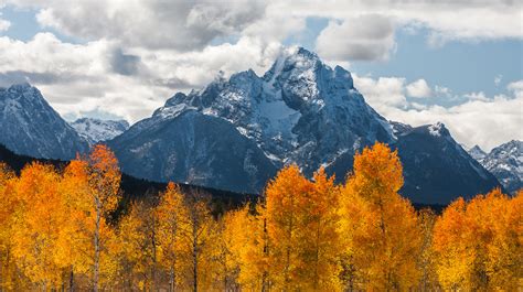 Your Complete Guide To Fall Colors In Jackson Wyoming Jackson Hole