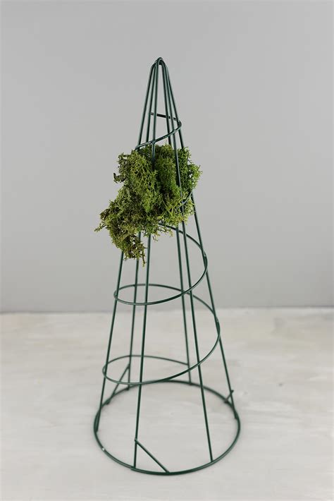 Landscapers and diy homeowners can create a trellis out of wood or wire for the moss to follow. 15" Wire Topiary Cone