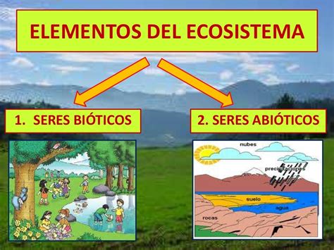 El Ecosistema Explicado Para Niños