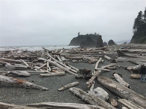 Check spelling or type a new query. Experiencing The Rocky Shores of Ruby Beach | ActionHub
