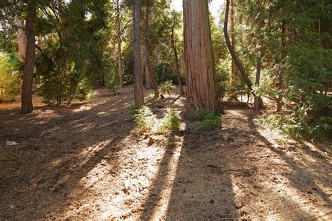 Browse photos, see new properties, get open house info, and research neighborhoods on trulia. Rare Level Lake Arrowhead Lot for Sale - $33,000