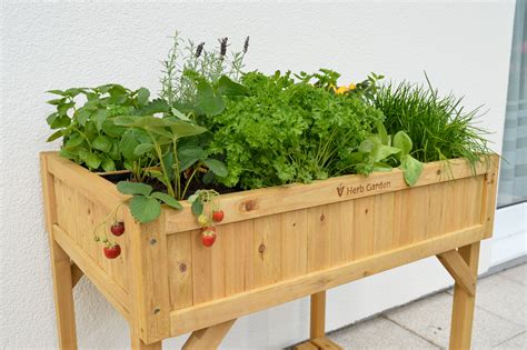 Raised Bed Herb Garden Soil