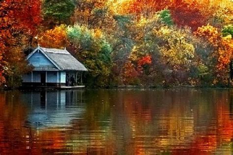 Imagini Pentru Zile De Toamna Autumn Painting Beautiful Places Lake