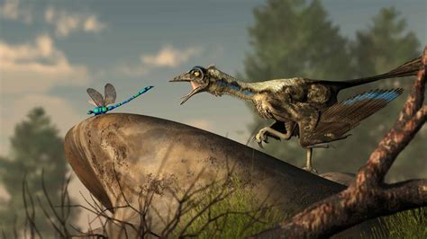 Archaeopteryx Pictures Az Animals