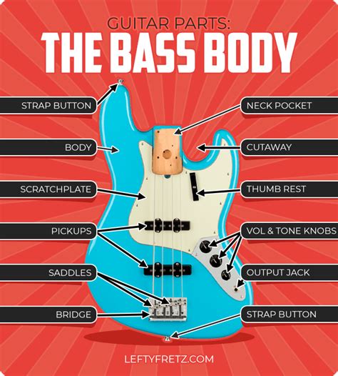 Parts Of The Bass Guitar Anatomy Explained With Diagrams