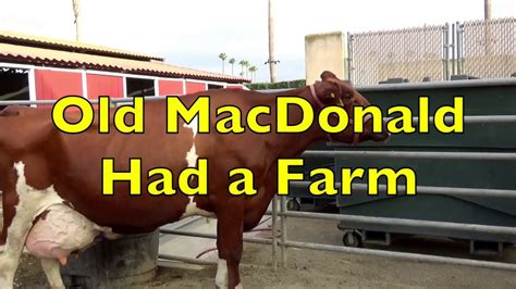 Old Macdonald Had A Farm Song With Real Animals Authentic Sounds A