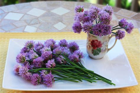 7 Reasons To Start Growing Chives In The Garden - Homemaking.com