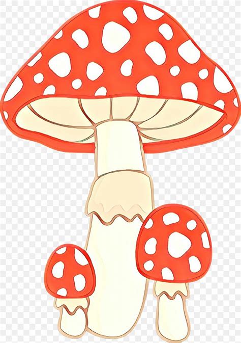 Mushroom Illustration Drawing Fungus Clip Art PNG X Px Mushroom Amanita Cartoon