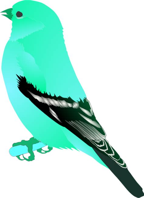 Mockingbird Clipart