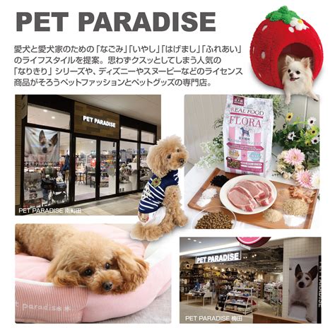 Shop Concept - PET PARADISE - クリエイティブヨーコ