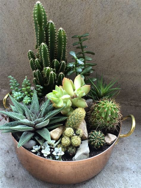 Succulents And Cactus So Happy With How It Turned Out Suculentas