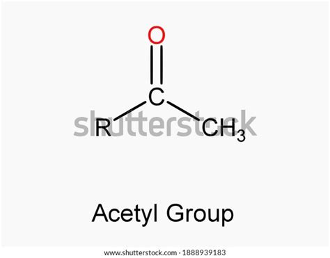 Acetyl Functional Group Molecule Atom Formula Stock Vector Royalty