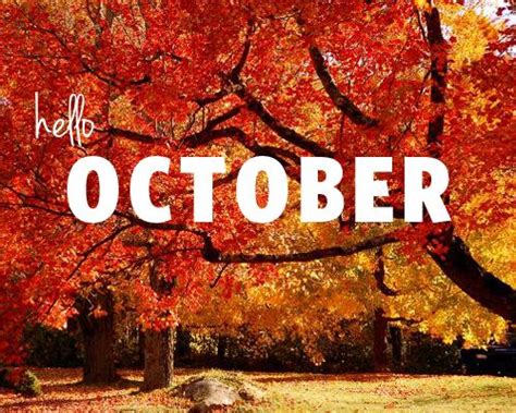 October Is My Favorite Color Katrina Runs For Food October Is My