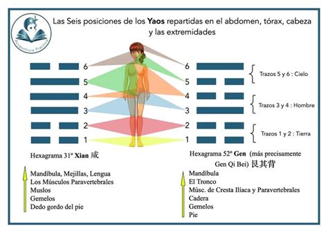 Pin En Acupuntura