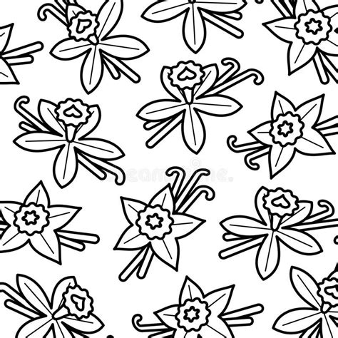 Vanilla Pattern Background Set Collection Icon Vanilla Stock Vector Illustration Of Botany
