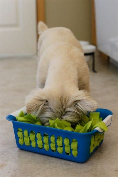 The idea is nice and simple; DIY Snuffle Bins for Dogs | Dog brain teasers, Diy dog ...