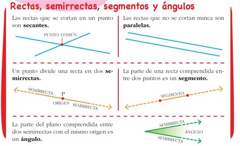 Matemáticas 3º Primaria Rectas Semirrectas Segmentos Y Ángulos