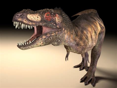 Large Dinosaur Predators Such As T Rex Evolved Different Eye
