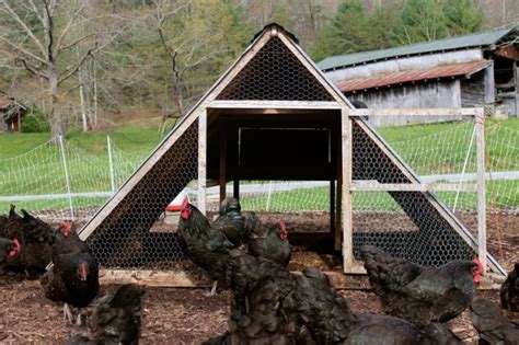 Brilliant Homesteading Chicken Coop That Works The Homestead Survival