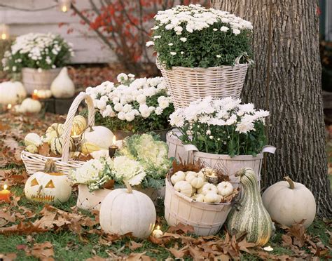 Adding Seasonal Curb Appeal With Decorative Gourds Outdoor Living