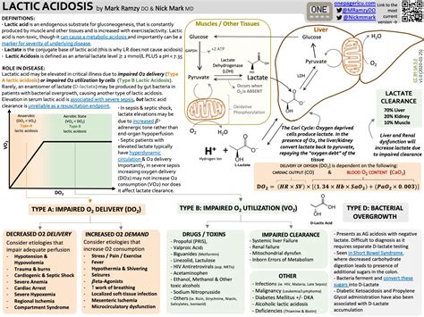 Lactic Acidosis Overview And Pathophysiology Lactic Grepmed My XXX