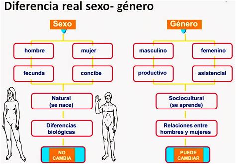 educasociatic taller de reflexión el sistema sexo género 4 el sistema de sexo género